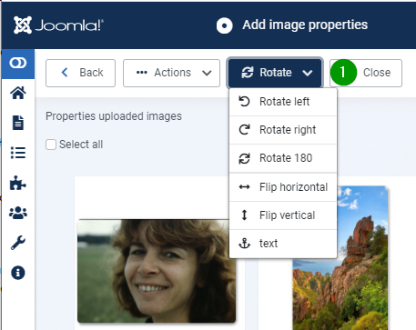 Dropdown.component.specific