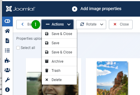 Dropdown.component.standard
